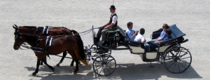 Palace Carriage